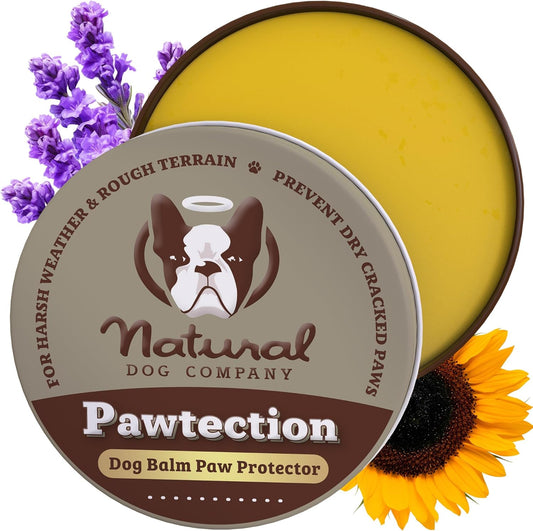 Pawtection Balm for Dogs (1 Oz Tin) All-Natural, Lick-Safe Dog Paw Protector, Moisturizing Dog Paw Balm for Dry, Cracked Pad, Protects Paw from Winter Ice, Salt & Rough Terrain